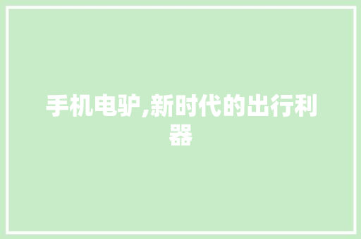 手机电驴,新时代的出行利器 服务器/数据库