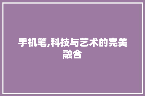 手机笔,科技与艺术的完美融合