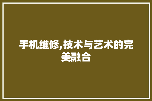 手机维修,技术与艺术的完美融合