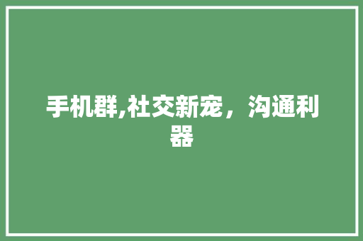手机群,社交新宠，沟通利器