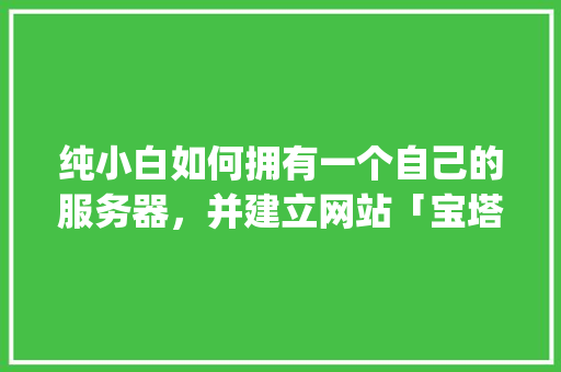 纯小白如何拥有一个自己的服务器，并建立网站「宝塔面板 wordpress」 纯小白如何拥有一个自己的服务器，并建立网站「宝塔面板 wordpress」 友链在线