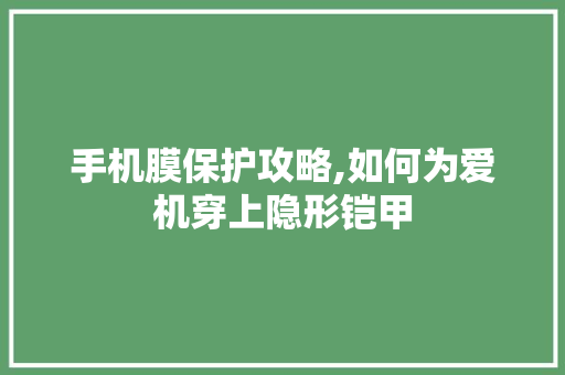 手机膜保护攻略,如何为爱机穿上隐形铠甲