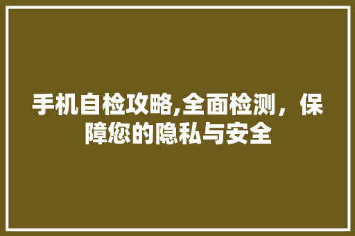 手机自检攻略,全面检测，保障您的隐私与安全
