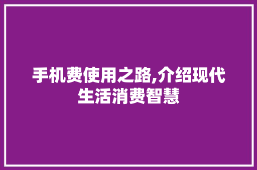 手机费使用之路,介绍现代生活消费智慧