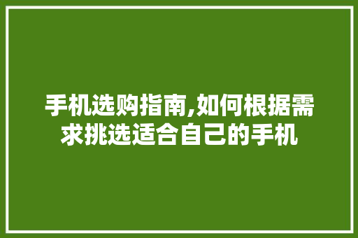 手机选购指南,如何根据需求挑选适合自己的手机