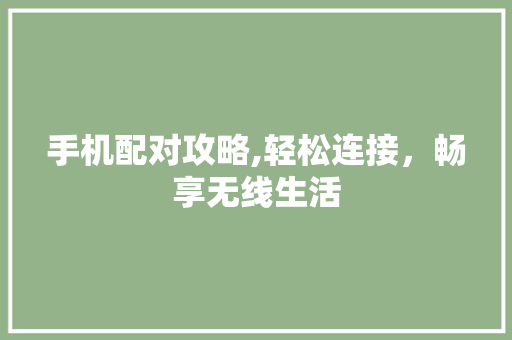 手机配对攻略,轻松连接，畅享无线生活