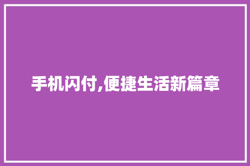 手机闪付,便捷生活新篇章