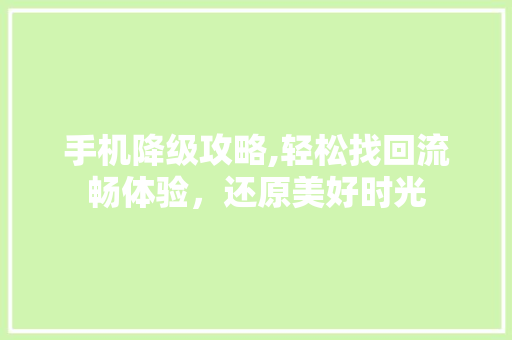 手机降级攻略,轻松找回流畅体验，还原美好时光