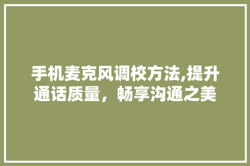 手机麦克风调校方法,提升通话质量，畅享沟通之美