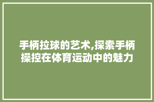 手柄拉球的艺术,探索手柄操控在体育运动中的魅力