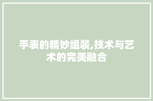 手表的精妙组装,技术与艺术的完美融合