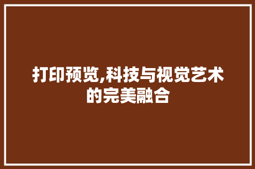 打印预览,科技与视觉艺术的完美融合
