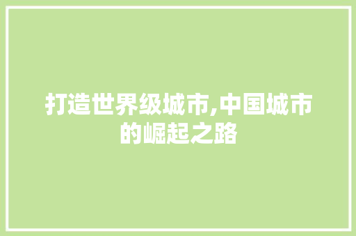 打造世界级城市,中国城市的崛起之路