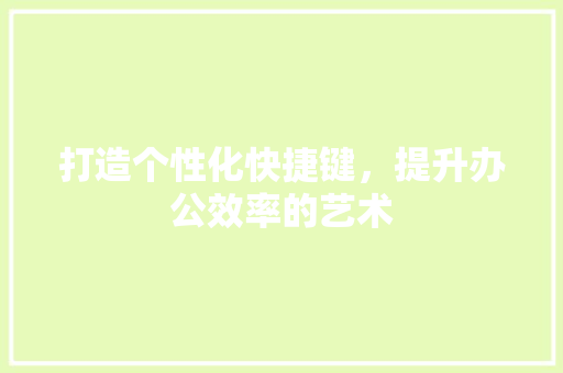 打造个性化快捷键，提升办公效率的艺术