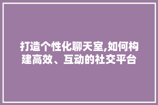 打造个性化聊天室,如何构建高效、互动的社交平台