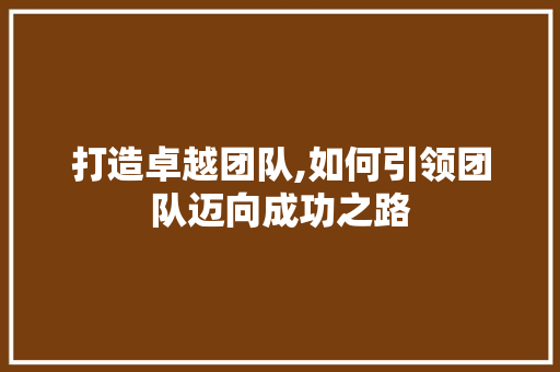 打造卓越团队,如何引领团队迈向成功之路