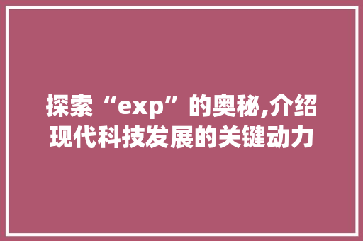 探索“exp”的奥秘,介绍现代科技发展的关键动力