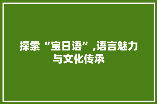 探索“宝日语”,语言魅力与文化传承