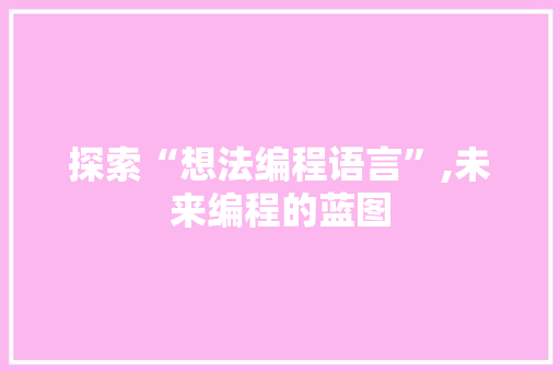 探索“想法编程语言”,未来编程的蓝图