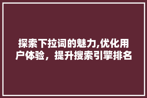 探索下拉词的魅力,优化用户体验，提升搜索引擎排名