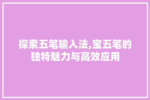 探索五笔输入法,宝五笔的独特魅力与高效应用 建站教程
