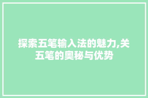 探索五笔输入法的魅力,关五笔的奥秘与优势