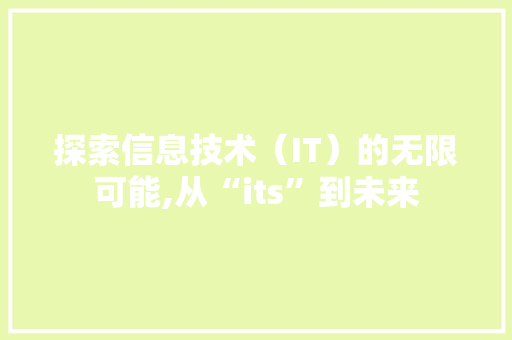 探索信息技术（IT）的无限可能,从“its”到未来 Web前端