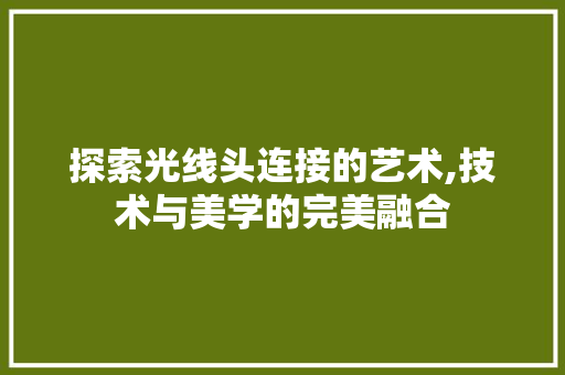 探索光线头连接的艺术,技术与美学的完美融合