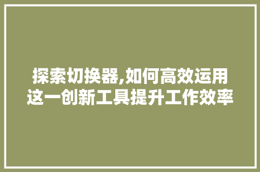 探索切换器,如何高效运用这一创新工具提升工作效率