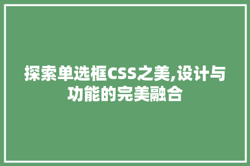 探索单选框CSS之美,设计与功能的完美融合 SEO教程