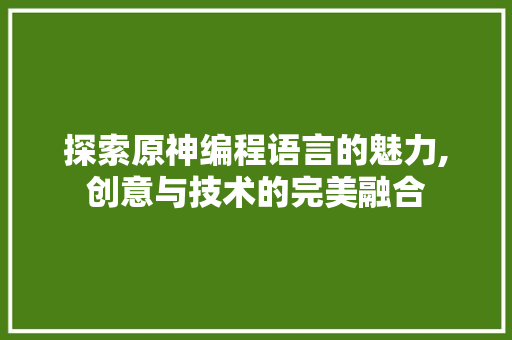 探索原神编程语言的魅力,创意与技术的完美融合