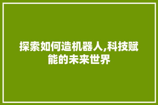探索如何造机器人,科技赋能的未来世界