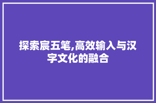 探索宸五笔,高效输入与汉字文化的融合