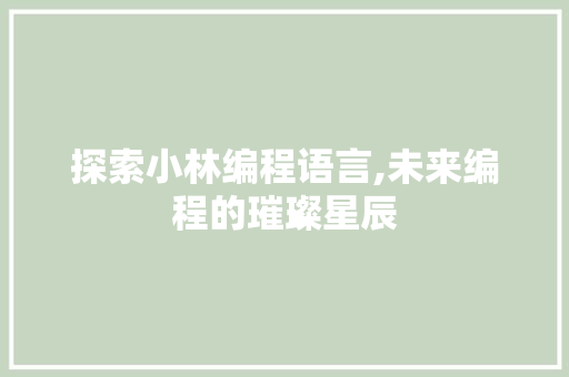 探索小林编程语言,未来编程的璀璨星辰