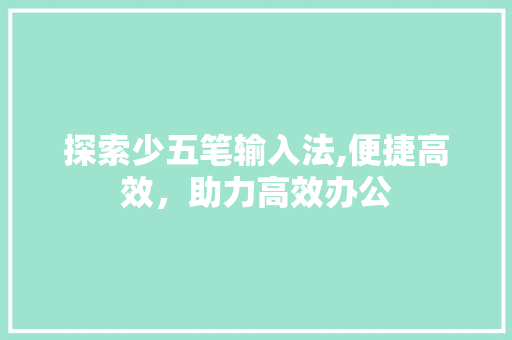 探索少五笔输入法,便捷高效，助力高效办公