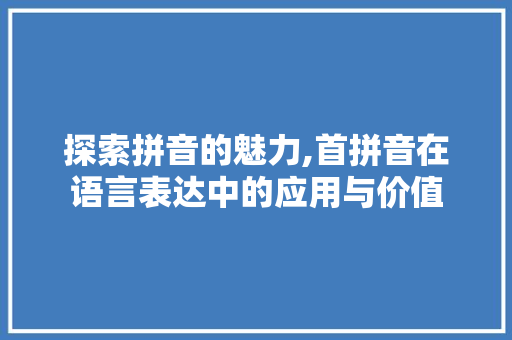 探索拼音的魅力,首拼音在语言表达中的应用与价值
