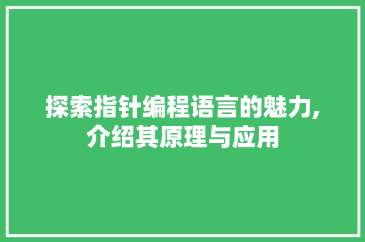 探索指针编程语言的魅力,介绍其原理与应用