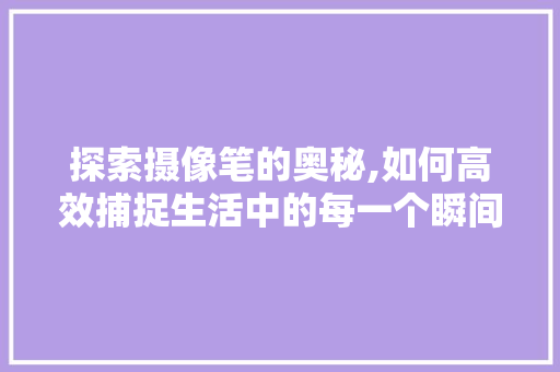 探索摄像笔的奥秘,如何高效捕捉生活中的每一个瞬间