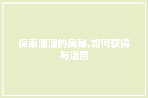 探索溜溜的奥秘,如何获得与运用 服务器/数据库