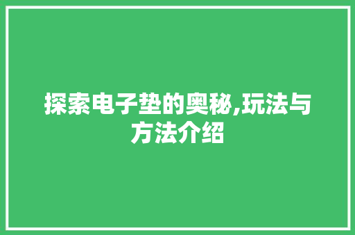 探索电子垫的奥秘,玩法与方法介绍 WordPress教程