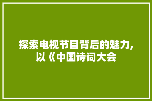 探索电视节目背后的魅力,以《中国诗词大会 建站教程