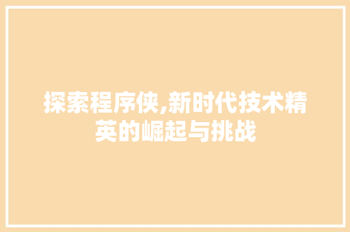 探索程序侠,新时代技术精英的崛起与挑战