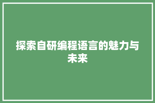 探索自研编程语言的魅力与未来