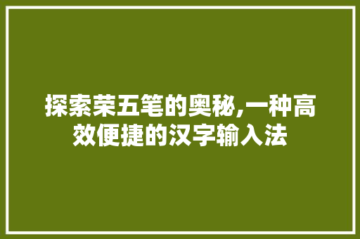 探索荣五笔的奥秘,一种高效便捷的汉字输入法 SEO教程