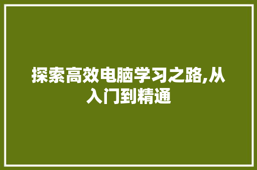 探索高效电脑学习之路,从入门到精通