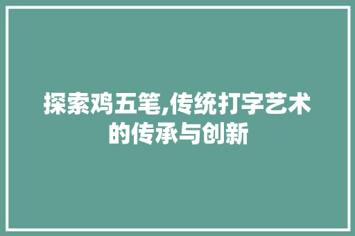 探索鸡五笔,传统打字艺术的传承与创新