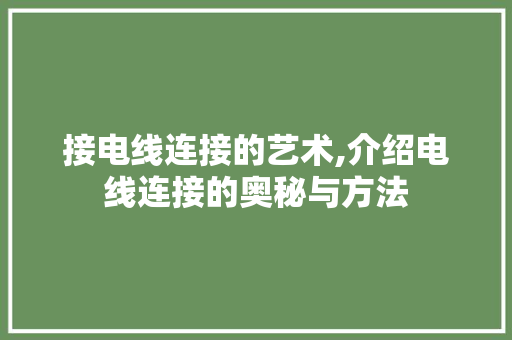 接电线连接的艺术,介绍电线连接的奥秘与方法