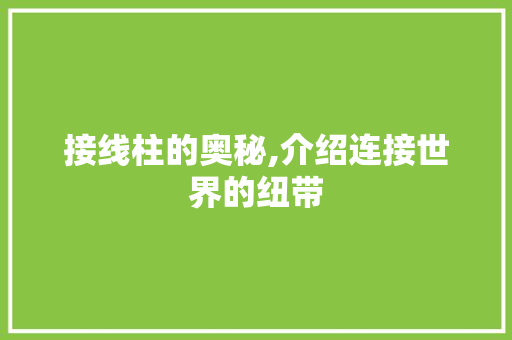 接线柱的奥秘,介绍连接世界的纽带