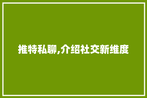 推特私聊,介绍社交新维度