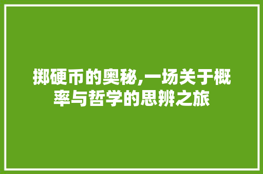 掷硬币的奥秘,一场关于概率与哲学的思辨之旅